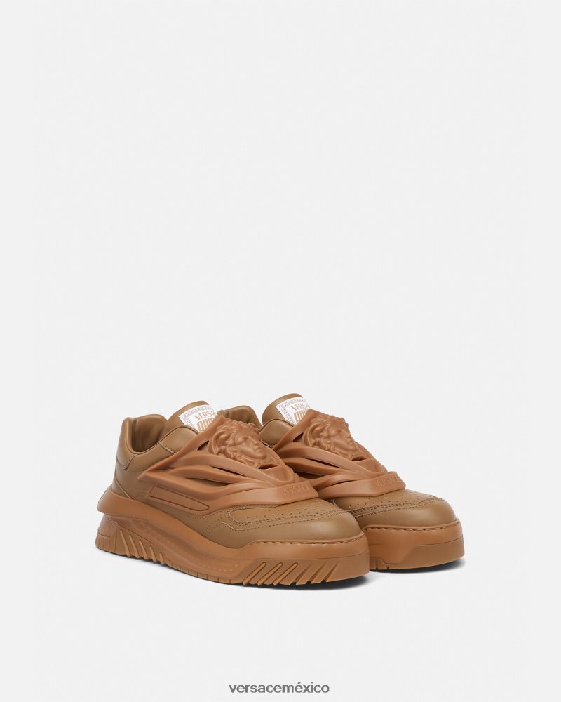 Versace zapatillas odissea caramelo zapato hombres 84626J1522
